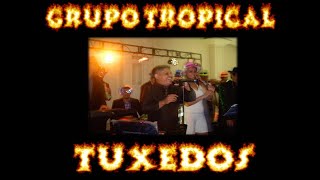 Grupo Tropical TUXEDOS BANDS 503 78921090 21242701 y 71243254 [upl. by Lirbaj]