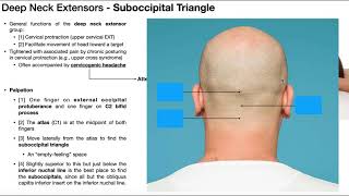 Suboccipital Triangle amp Muscles  Palpation Technique amp Rationale [upl. by Russom874]