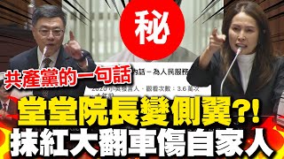 卓榮泰抹紅高金素梅大翻車 quot為人民服務quot錯了嗎 網翻綠營兩大咖也說過 高金講理講法都講不過只好用這種側翼說法 [upl. by Yttig287]