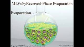 liposomes Introduction and Preparation liposome viral youtubeshorts [upl. by Charline315]