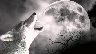 Wolf Howling [upl. by Adaliah]