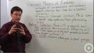 Darwins Theory of Evolution [upl. by Maribeth372]