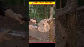 😱 মৌমাছি ধরার এই পদ্ধতি দেখে আপনি অবাক হয়ে যাবেন  Honey Farming Bangla [upl. by Lucila760]