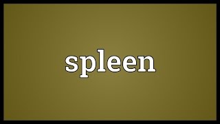 Spleen Meaning [upl. by Draillih]