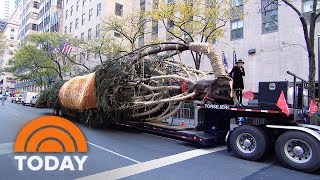 Rockefeller Center Christmas Tree Arrives To The Plaza Live On TODAY  TODAY [upl. by Lisabeth]