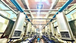 The reasons to choose DeLaval  DeLaval VMS Classic Sangwol Korea [upl. by Nylirahs561]