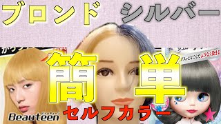 【簡単シルバーカラー】ブリーチやWカラーしたい人必見です。美容師が教えますセルフカラー 「フレッシュライト【シュガーアッシュ】」泡カラー [upl. by Aittam]