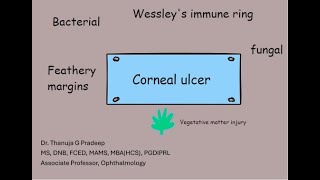 Corneal ulcer examination [upl. by Batista]