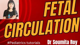 Understanding FETAL CIRCULATION fetal circulation embryology Pediatrics lecture Dr Soumita Roy [upl. by Rother]