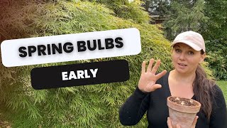 🌷 How to Force Spring Bulbs 🌷 [upl. by Ermentrude488]