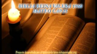 Biblia HabladaBIBLIA REINA VALERA 1960 JUAN CAP 9 [upl. by Anewor]