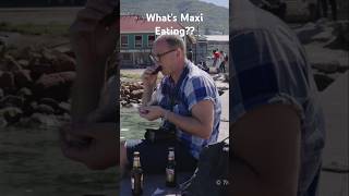 Watch the full vid HoutBay CapeTown Biltong FishBiltong driedfish tasting southafricanfood [upl. by Palecek180]