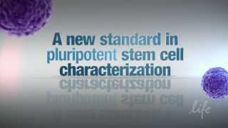 A new standard in pluripotent stem cell characterization  TaqMan® hPSC Scorecard™ Panel [upl. by Holmen]