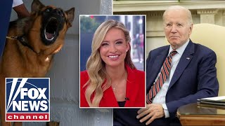 McEnany Why are Bidens dogs so violent [upl. by Eiramanel]