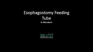 寵物2 食道胃管 Esophagostomy Feeding Tube [upl. by Ahseret]