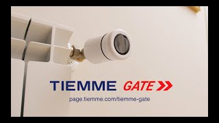 TIEMME GATE [upl. by Laekcim]