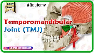 Anatomy of Temporomandibular joint  TMJ  Animation Gross Anatomy medical animations [upl. by Rhyne]