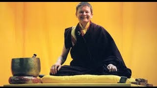 The Noble Journey From Fear to Fearlessness ♡ Pema Chödrön [upl. by Marl515]