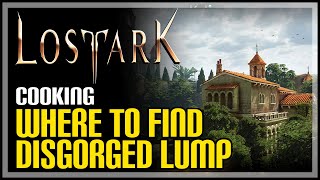 How to Get Disgorged Lump Lost Ark [upl. by Ladnek]