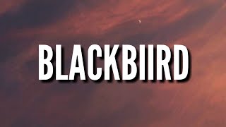 Beyoncé  BLACKBIIRD Lyrics [upl. by Dloreh]