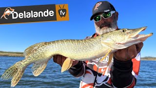 OUVERTURE PÊCHE 2023 🎣 Pêche du carnassier avec un guide de pêche en Extremadura Espagne [upl. by Hike19]