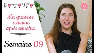 9ème semaine de grossesse – L’échographie du 1er trimestre [upl. by Sullivan16]