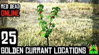 Red Dead Redemption 2 Online  GOLDEN CURRANT LOCATIONS [upl. by Byers645]