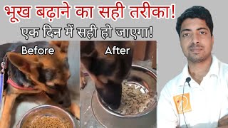 How to increase appetite in dog with Home remedy Dog not eating [upl. by Cohleen]