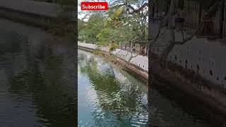 Travel video sri lanka  Sri lanka tourism video  Top Travel video shorts [upl. by Baer]