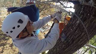 Amicalola Falls State Park Zipline Part One [upl. by Casanova958]