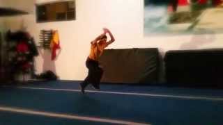 Gymnastics Flips  Wushu Shaolin Kung Fu [upl. by Aznofla]