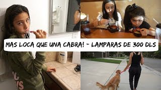 MAS LOCA QUE UNA CABRA   LAMPARAS PARA LA RECAMARA DE 300 DLS  Vlogs diarios [upl. by Avilla]