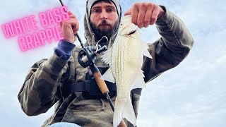 HOOKED UP on Crappie and White BASS [upl. by Auston]