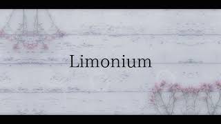 Limonium remix  luijmes [upl. by Harper894]