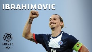 Zlatan Ibrahimovic  All 26 Goals  20132014 [upl. by Yorker322]