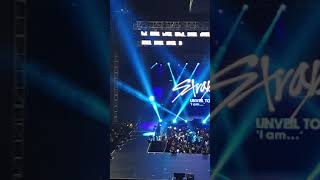 190427 Stray Kids Unveil Tour Manila  JYP Nation Intro Video Audience Reaction [upl. by Adnoral]