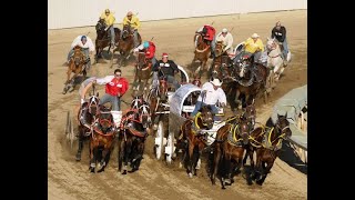 Hotcakes to High Stakes The Modern Chuckwagon Race [upl. by Kcirrem]