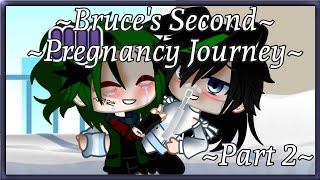 Bruces Second Pregnancy Journey Part 2 [upl. by Vinny]