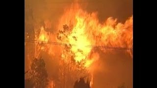 Blue Mountains Wildfire January 1994 [upl. by Trow738]