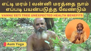 எட்டி மரம்  வன்னி மரம்  strychnine tree  nux vomica homeopathyKhejri treeUnbelievable Benefits [upl. by Ezekiel]