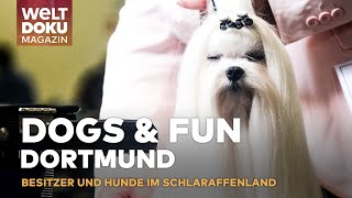 DOG amp FUN HUNDEMESSE DORTMUND Schnüffeln amp Shoppen Das Schlaraffenland für Vier und Zweibeiner [upl. by Mab393]