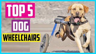 ✅ Top 5 Best Dog Wheelchairs In 2024 [upl. by Nilrem]