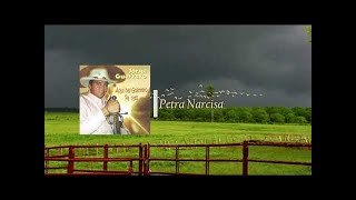 Jorge Guerrero  Petra Narcisa [upl. by Dru]