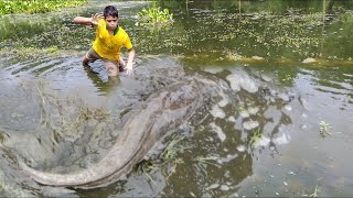 Amazing hand fishing 2024  Traditional catfish catching in mud water by hand  Best Fishing Video [upl. by Ailic]