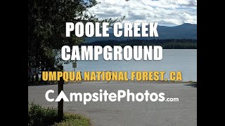 Poole Creek Campground Umpqua National Forest Oregon Campsite Photos [upl. by Trilly]