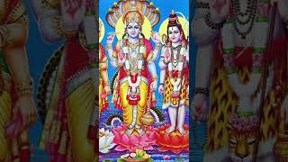 Is Hinduism a polytheistic Relegion hinduism sanatan ytshort youtubeshorts shorts facts [upl. by Hurless950]