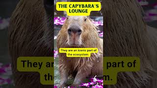 Fascinating Capybara Facts  Discover the Worlds Largest Rodent shorts [upl. by Brittnee]