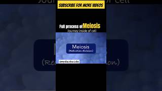 Full Process of Meiosis  Cell and Division meiosisshortbiologyshortbiologyanimation [upl. by Granese438]