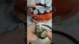 Masak lontong pakai plastikJgn ya dek ya ga sehat pakai cetakan stainless aj Link di kolom komen [upl. by Olathe768]