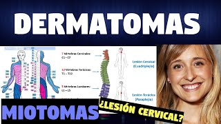 TODO SOBRE LOS DERMATOMAS Y MIOTOMAS  FUNCIONES [upl. by Naihs]